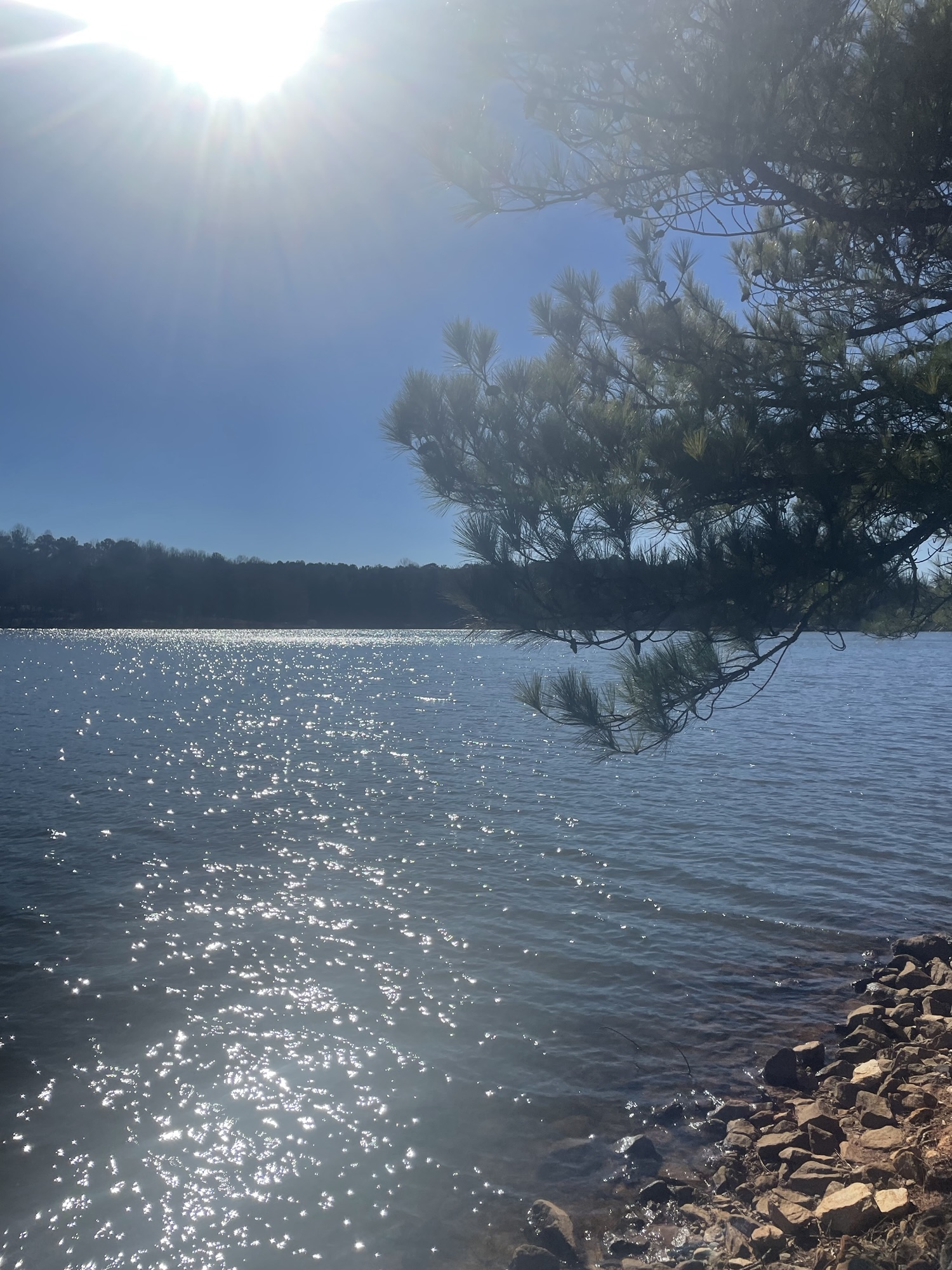 The Lazarus Within: A Spiritual Lesson on Self-Acceptance and Inner Healing